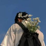 Augensten的个人资料头像