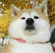 一万次番茄炒蛋的个人资料头像