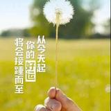 蓉城短剧头像