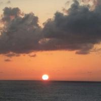 尧尧爱芃芃头像