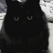 山那边的瘦子的个人资料头像