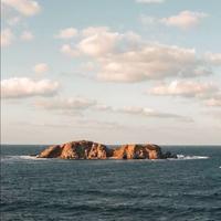 风趣可乐KoA头像