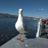 恭喜发财836394029581头像