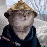 柏乡阿亮头像