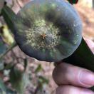 陈猛爱学习的个人资料头像