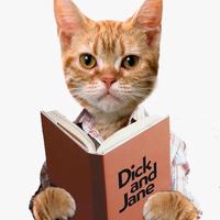 喵书成长社头像