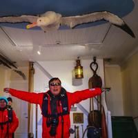 xujun农夫与蛇头像