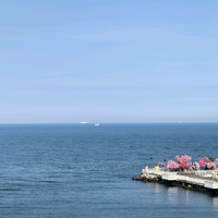 情商低的聪明人头像