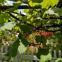 心如明镜145659045头像