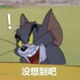 板扎A头像