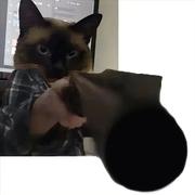 天赋型IT选手的个人资料头像