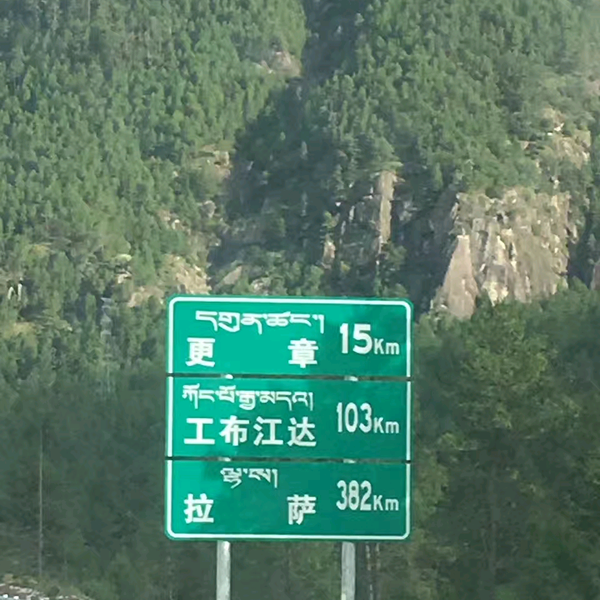 杭州军哥电车头像