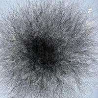 元气阳光1C2头像