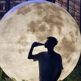 毒药6350头像