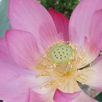 用户119121469163头像