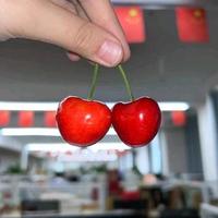 用户9518315873014头像