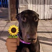 白白白白白白白白的个人资料头像