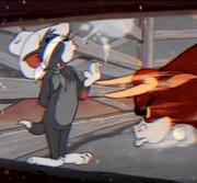 云起迎风燕的个人资料头像