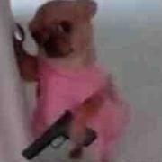 533370的个人资料头像