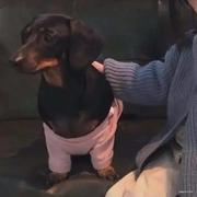 内心很慌的个人资料头像