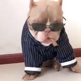 玩世不恭的男人702头像