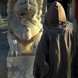 林念559头像
