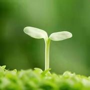 前端丶小草的个人资料头像