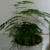 用户6999770411046头像
