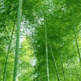 篮耳钉885头像