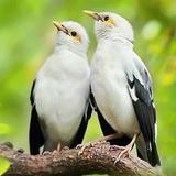 剑锋所向kkk头像