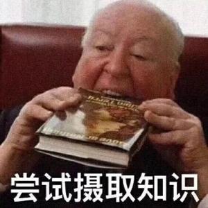 王子不会哭头像