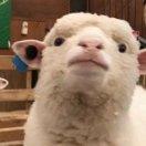 Esther酱的个人资料头像