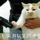 你猜我猜不猜头像