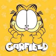 Atow的个人资料头像