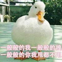 无与伦比rui头像