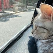 萧亦非的个人资料头像