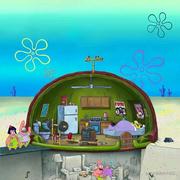 黄色鸭子头的个人资料头像