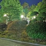 老徐54321头像