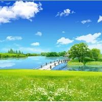 静若止水1285头像