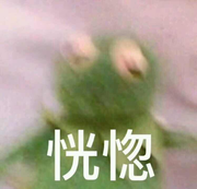 海星星的个人资料头像