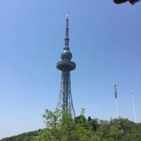 叶子爱旅行头像