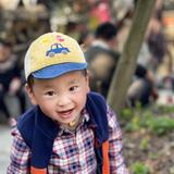 随性自由的百灵鸟uP2头像