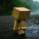 W酱85188的个人资料头像