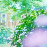王艳745的个人资料头像