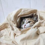 用户75194469681的个人资料头像