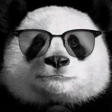 全体起立x头像