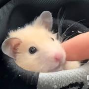 用户822959999922的个人资料头像