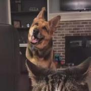 在在456的个人资料头像