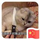 WDY93512的个人资料头像