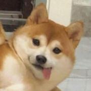 水溶笔0oO的个人资料头像